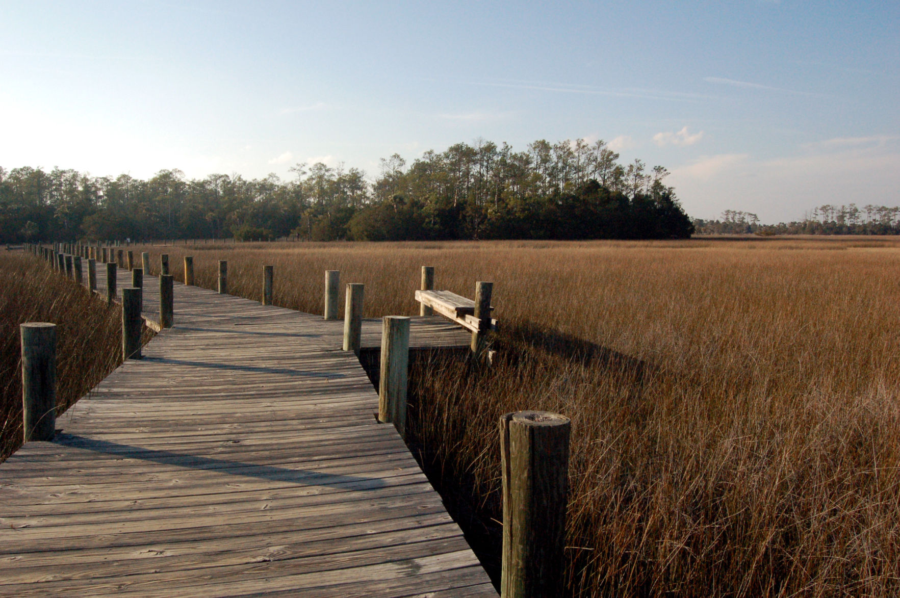 Palmetto Island County Park (copy)